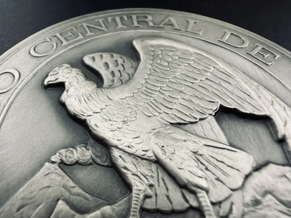 Серебряная медаль чили спб