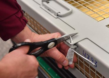 Россиянам хотят упростить продажу золотых слитков