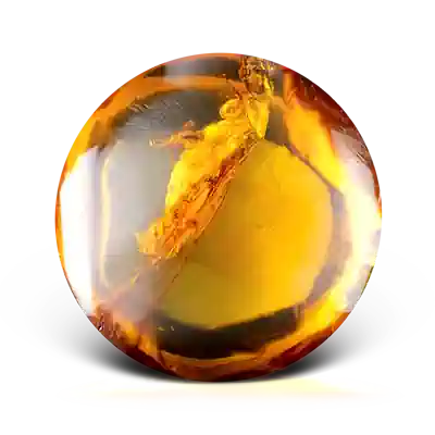 C525ffeb344684a73d13c45352bd554c