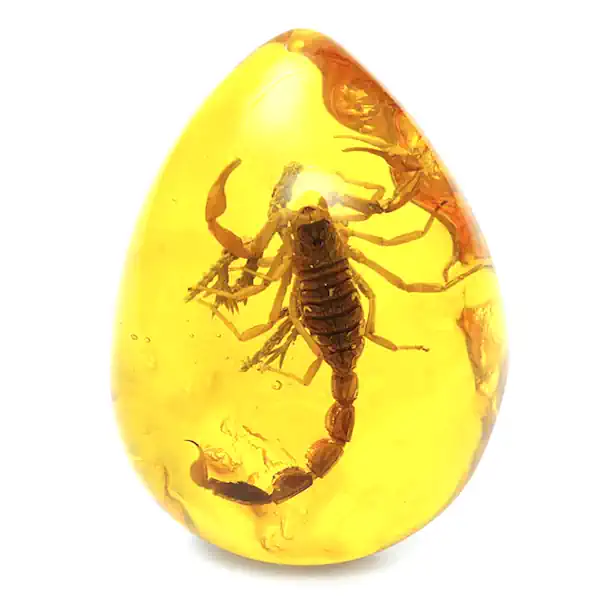 Poddelka nasekomoe inklyuz